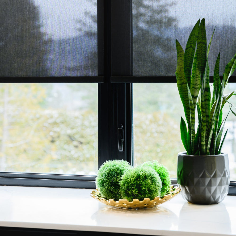 Toile Solaire Minimaliste UV 5% - Blanc - Stores Rabais